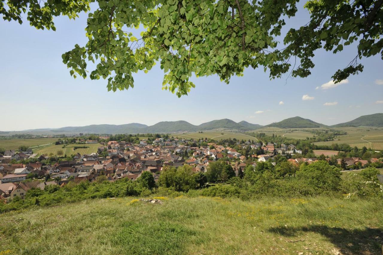 Wein-Domizil Brennofen Hotel Ilbesheim bei Landau in der Pfalz Buitenkant foto