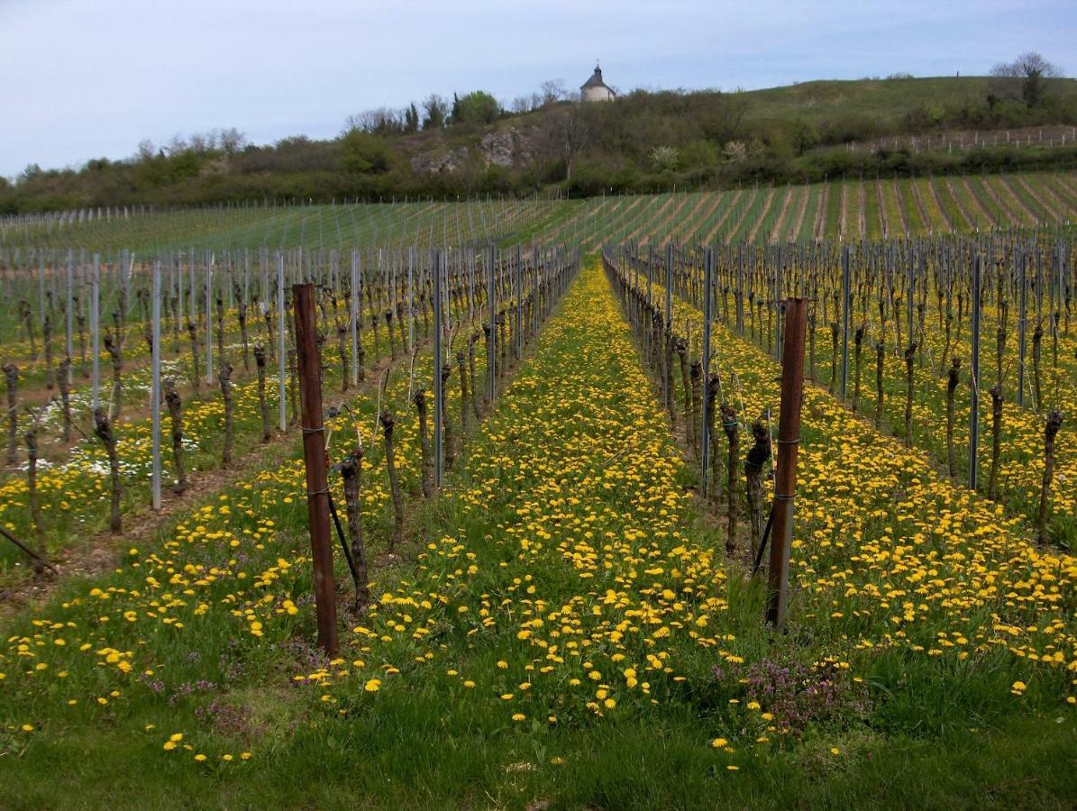 Wein-Domizil Brennofen Hotel Ilbesheim bei Landau in der Pfalz Buitenkant foto